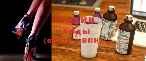 прущие грибы Заводоуковск