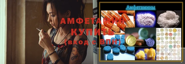 прущие грибы Заводоуковск