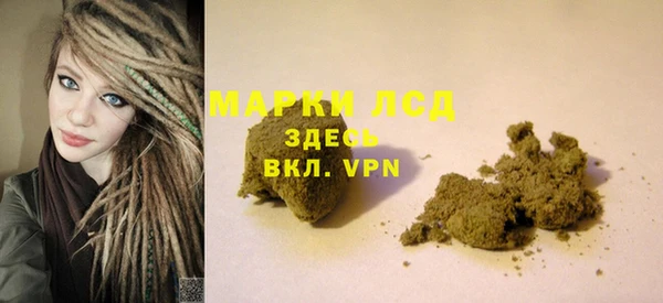 прущие грибы Заводоуковск