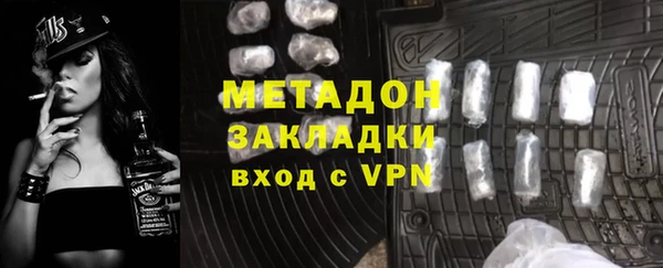 прущие грибы Заводоуковск