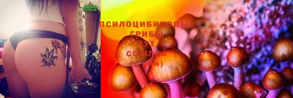 спиды Заволжье
