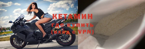прущие грибы Заводоуковск