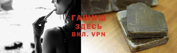 прущие грибы Заводоуковск