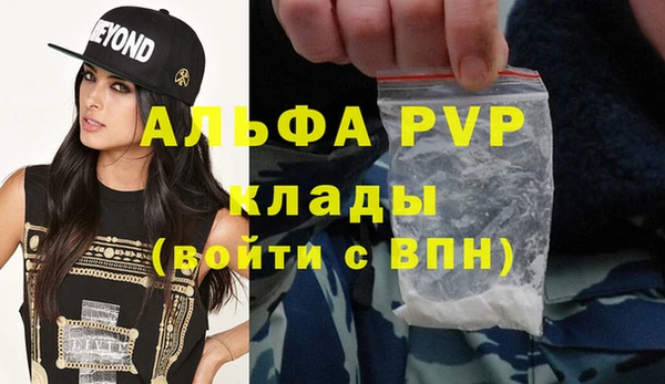 прущие грибы Заводоуковск