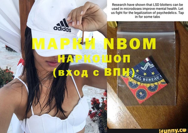 прущие грибы Заводоуковск