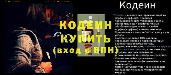 прущие грибы Заводоуковск